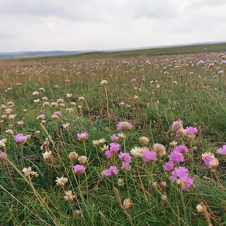 6 Person In Lemvig-by Traum * Lemvig